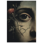 20cab192-f050-41ca-89b3-9feb515812bd