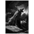c23fdf0d-22f1-4da9-9abf-df6d098f4be1